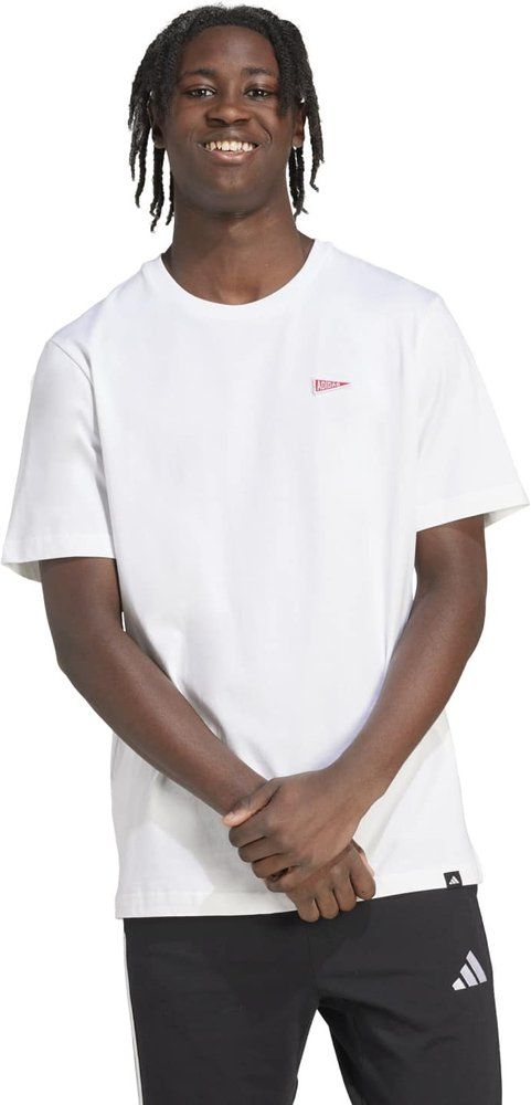 ADIDAS Herren Shirt Graphic mit Wimpelmotiv