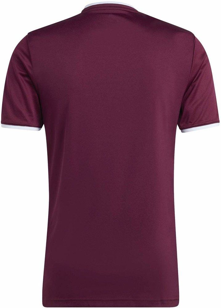 ADIDAS Herren Trikot Entrada26 Trikot (normal & lang)