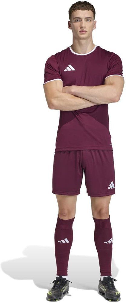 ADIDAS Herren Trikot Entrada26 Trikot (normal & lang)
