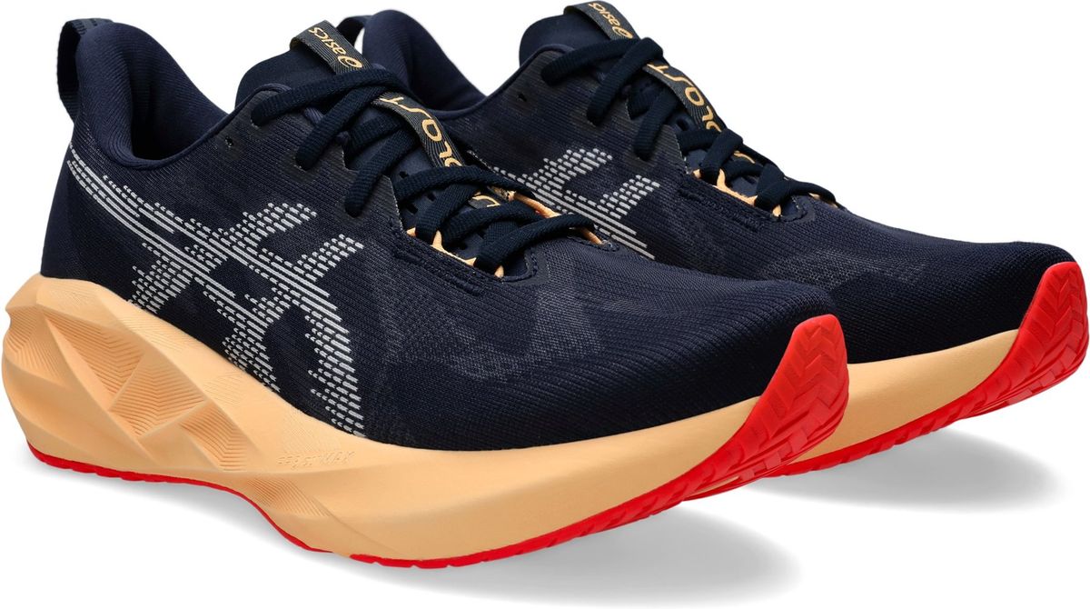 ASICS Herren Laufschuhe NOVABLAST 5
