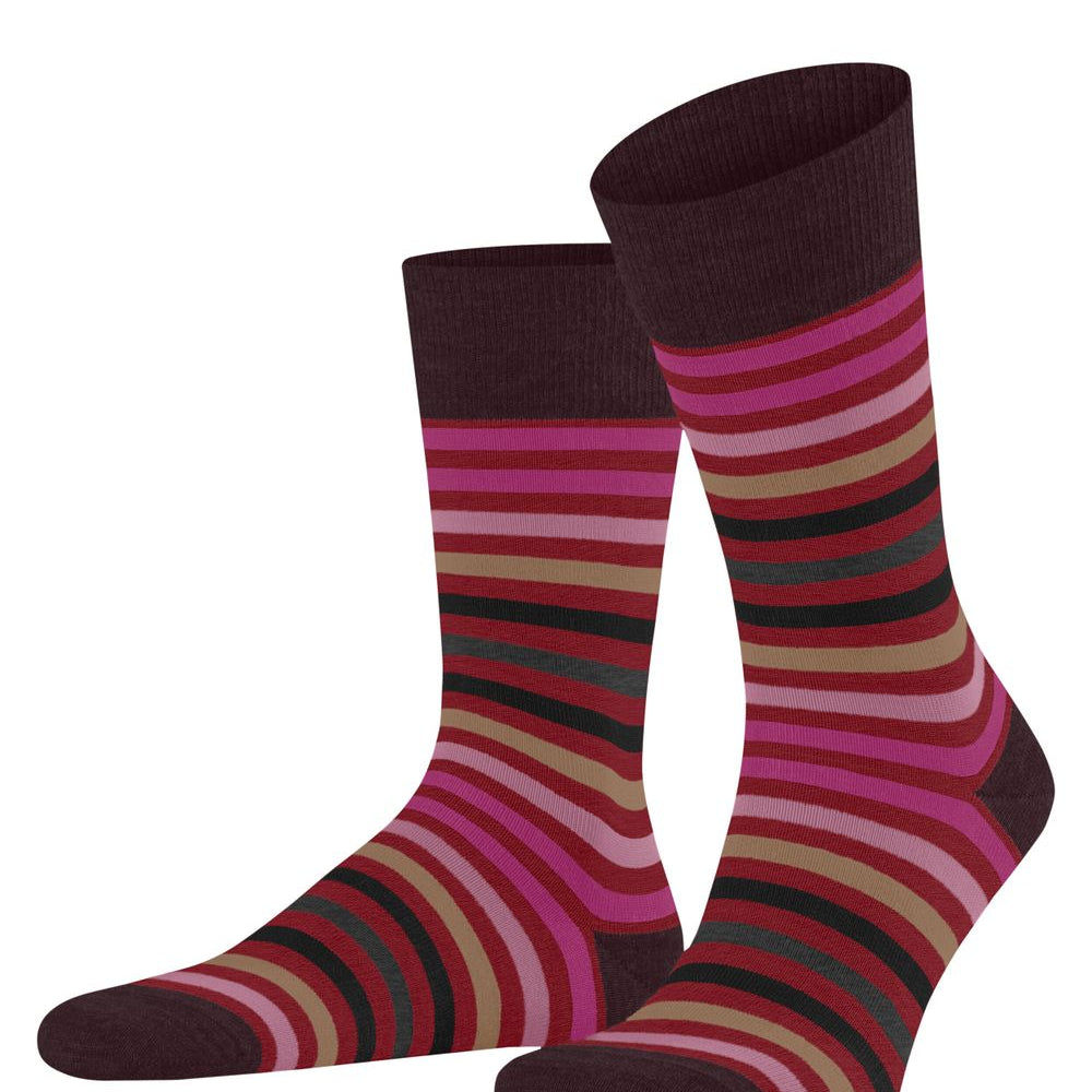 FALKE Tinted Stripe SO