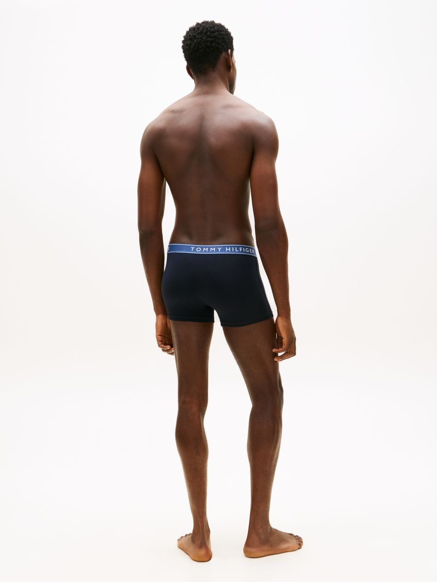3P TRUNK WB