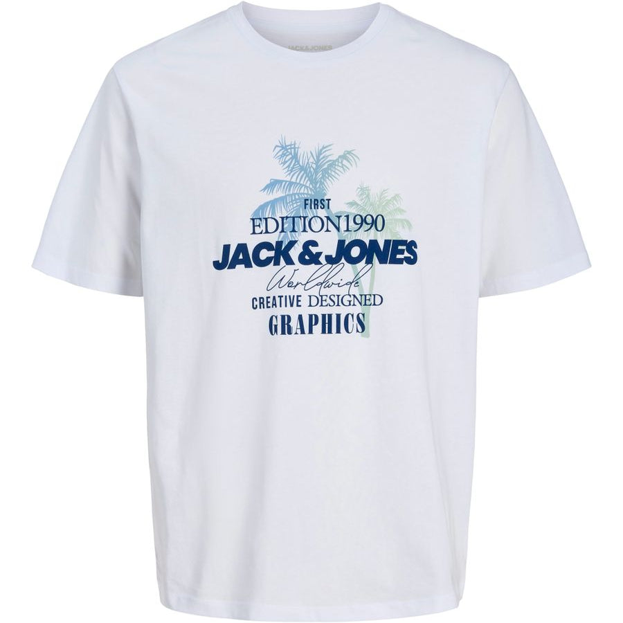 JJGRADIENT PRINT TEE SS CREW NECK LN