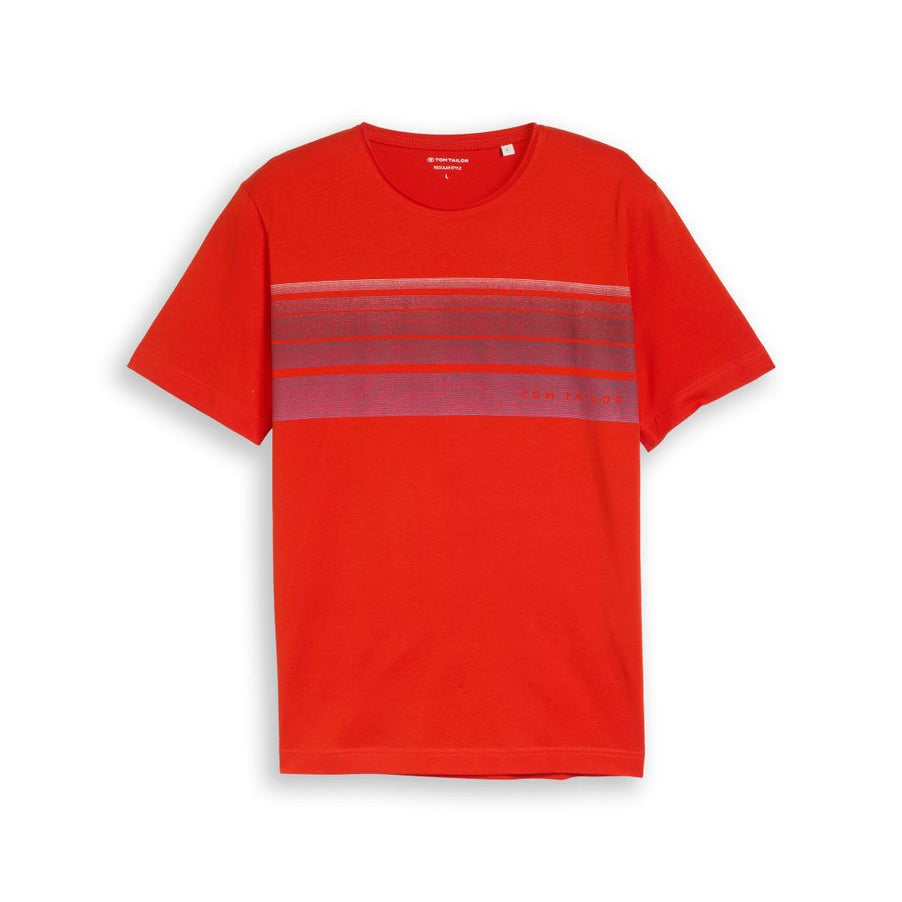 T-Shirt mit Print auf der Brust