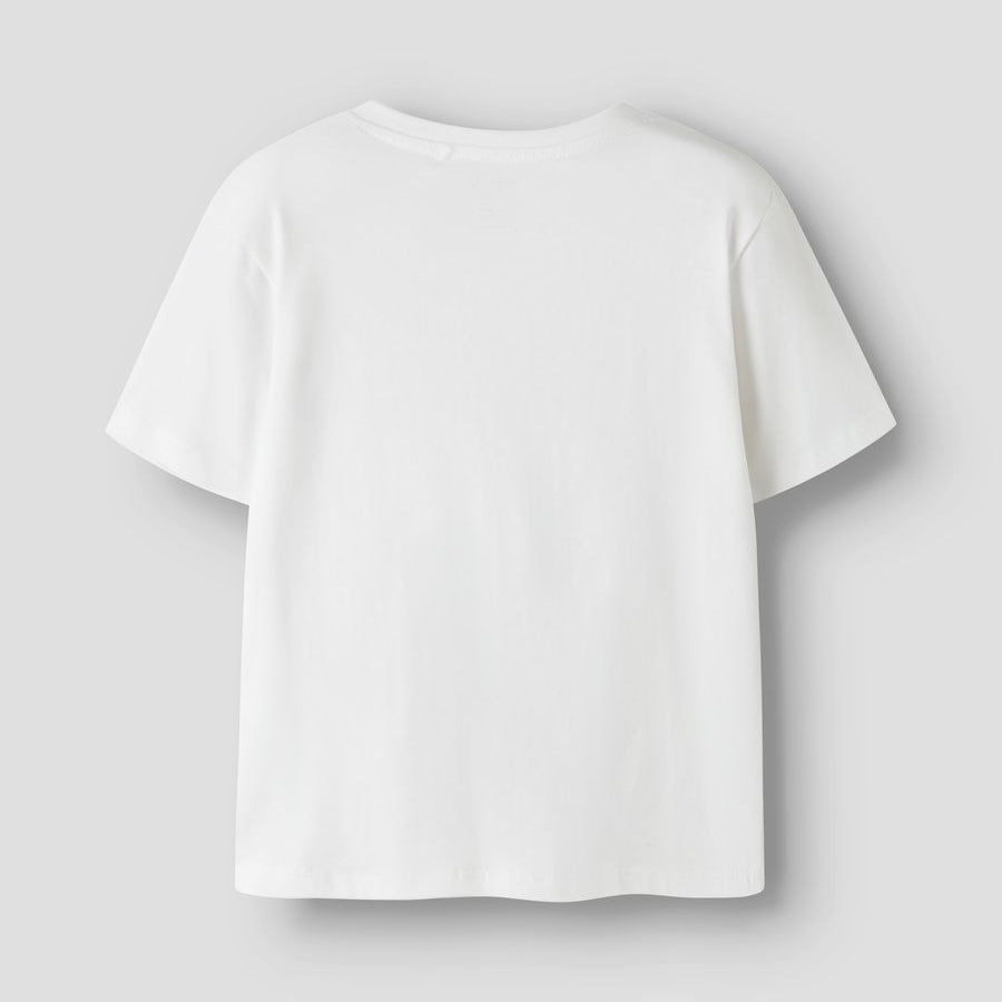 NMMJAVOL SS NREG TOP