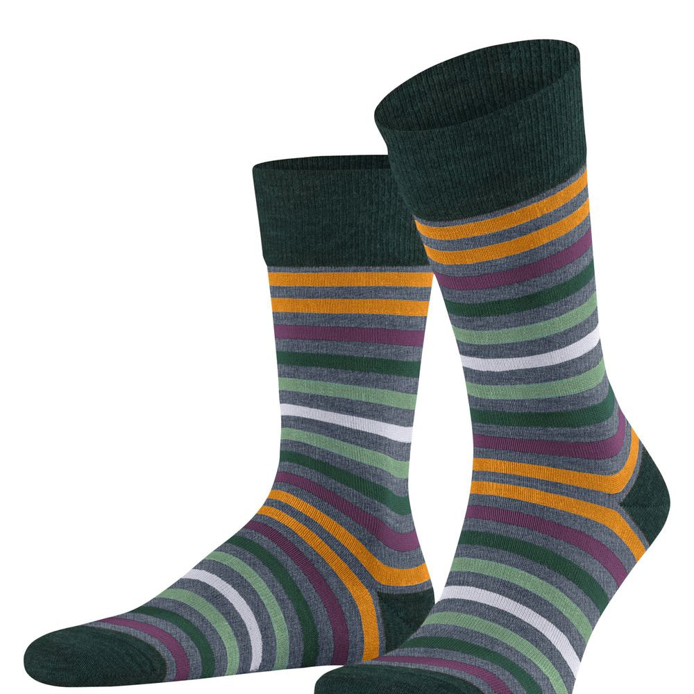 FALKE Tinted Stripe Herren