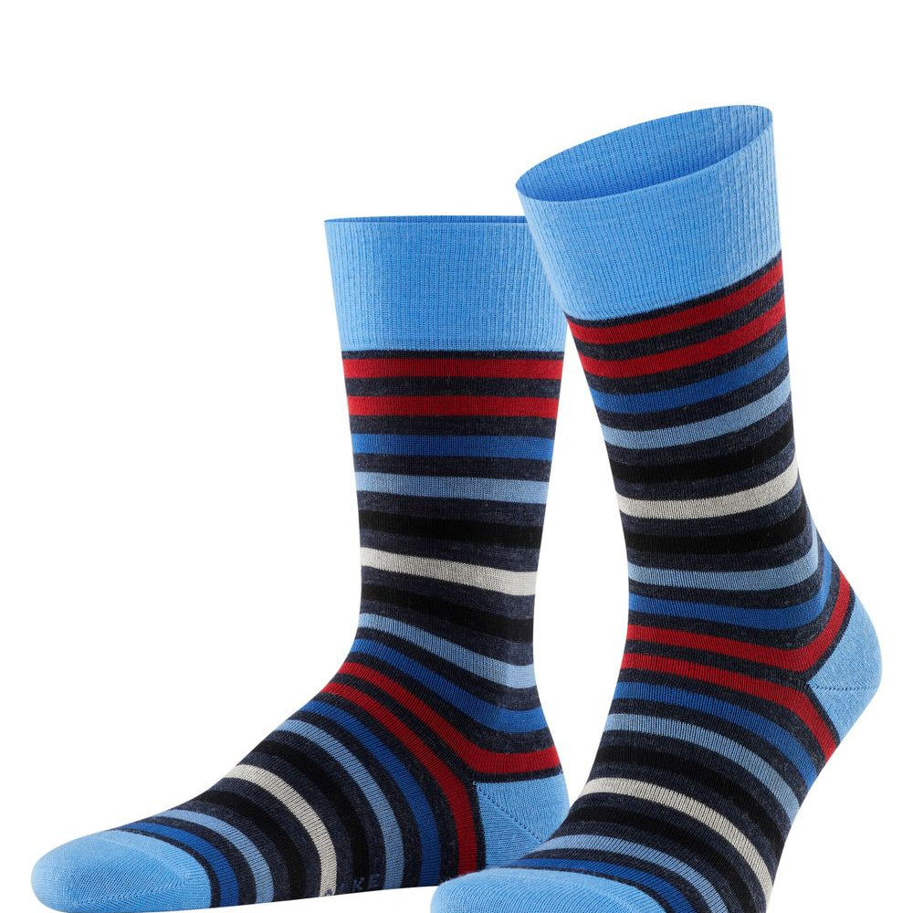FALKE Tinted Stripe Herren