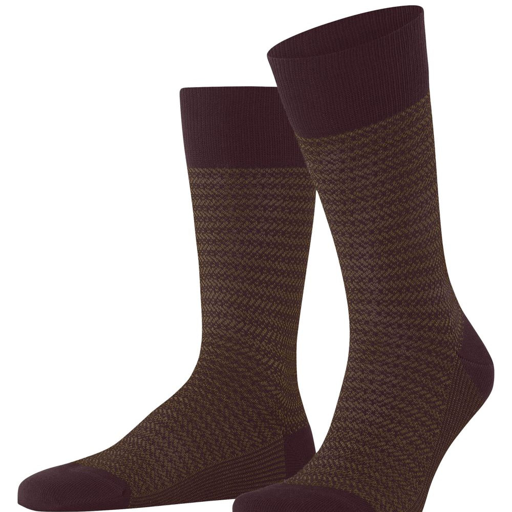 FALKE Family Special Edition Herren