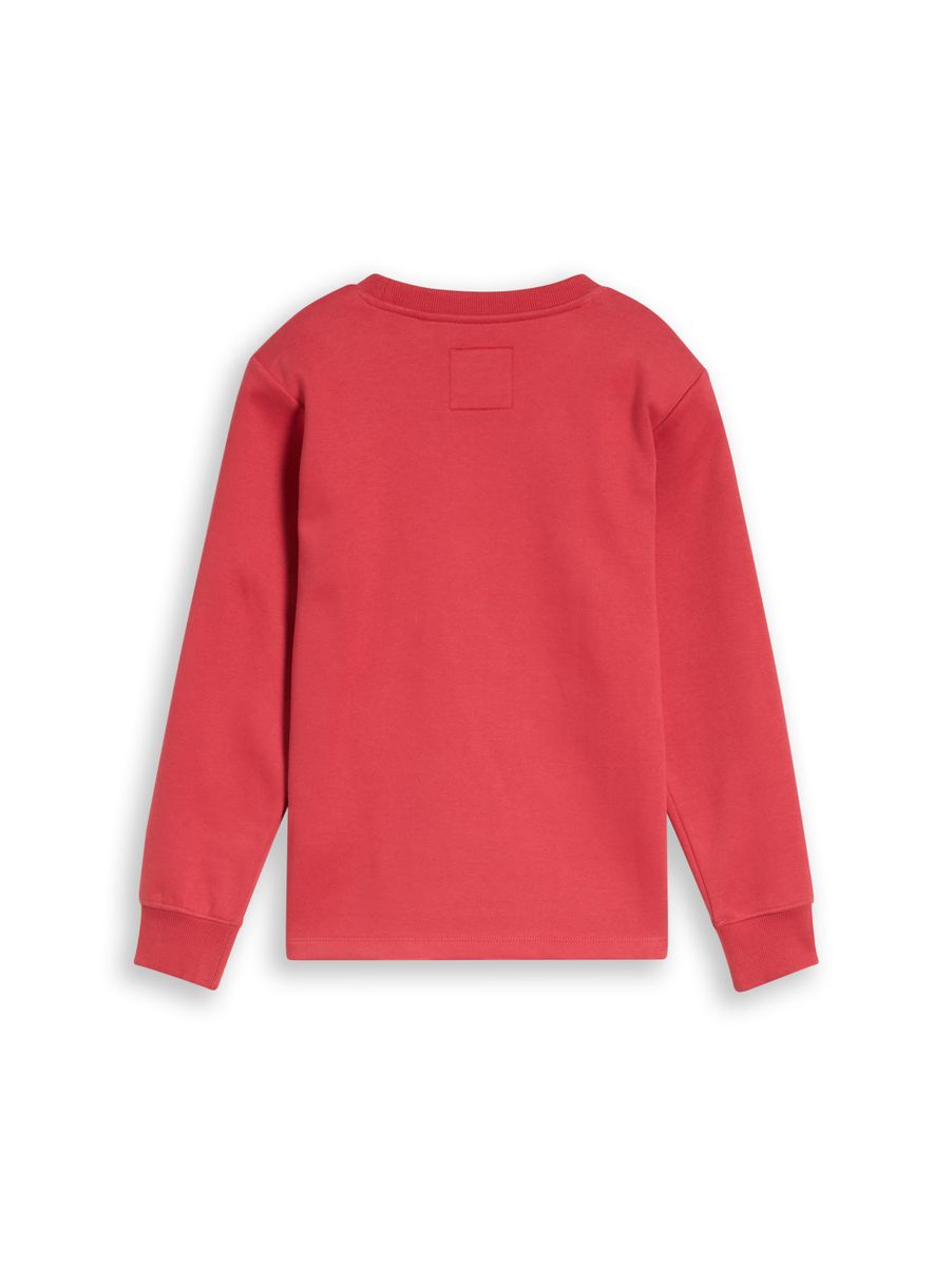 Sweatshirt mit Schriftzug