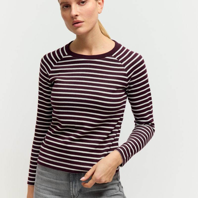 Striped Raglan Pullover
