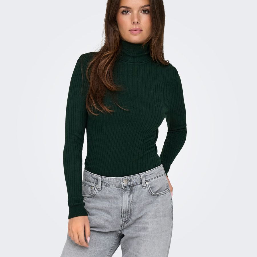 ONLKAROL L/S ROLLNECK PULLOVER KNT NOOS