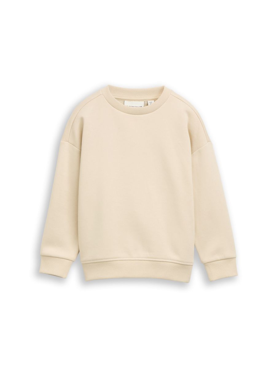 Oversize Sweatshirt mit Rückenprint