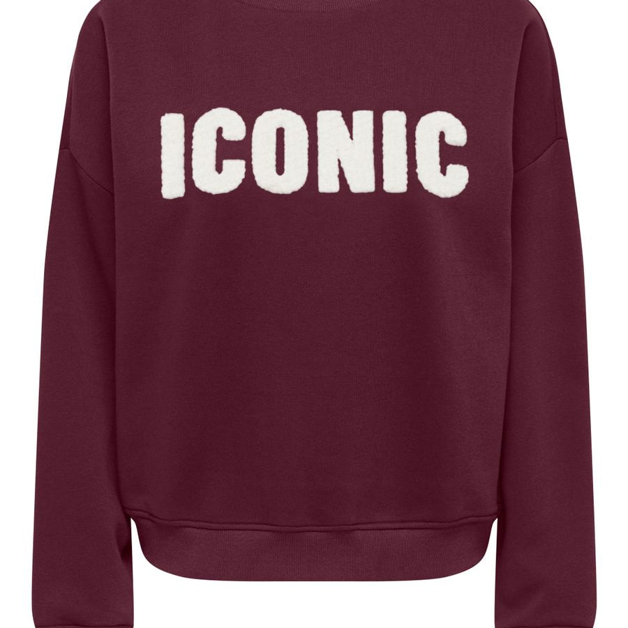 ONLSWEAT LIFE L/S CREW O.SIZE STATE NOOS