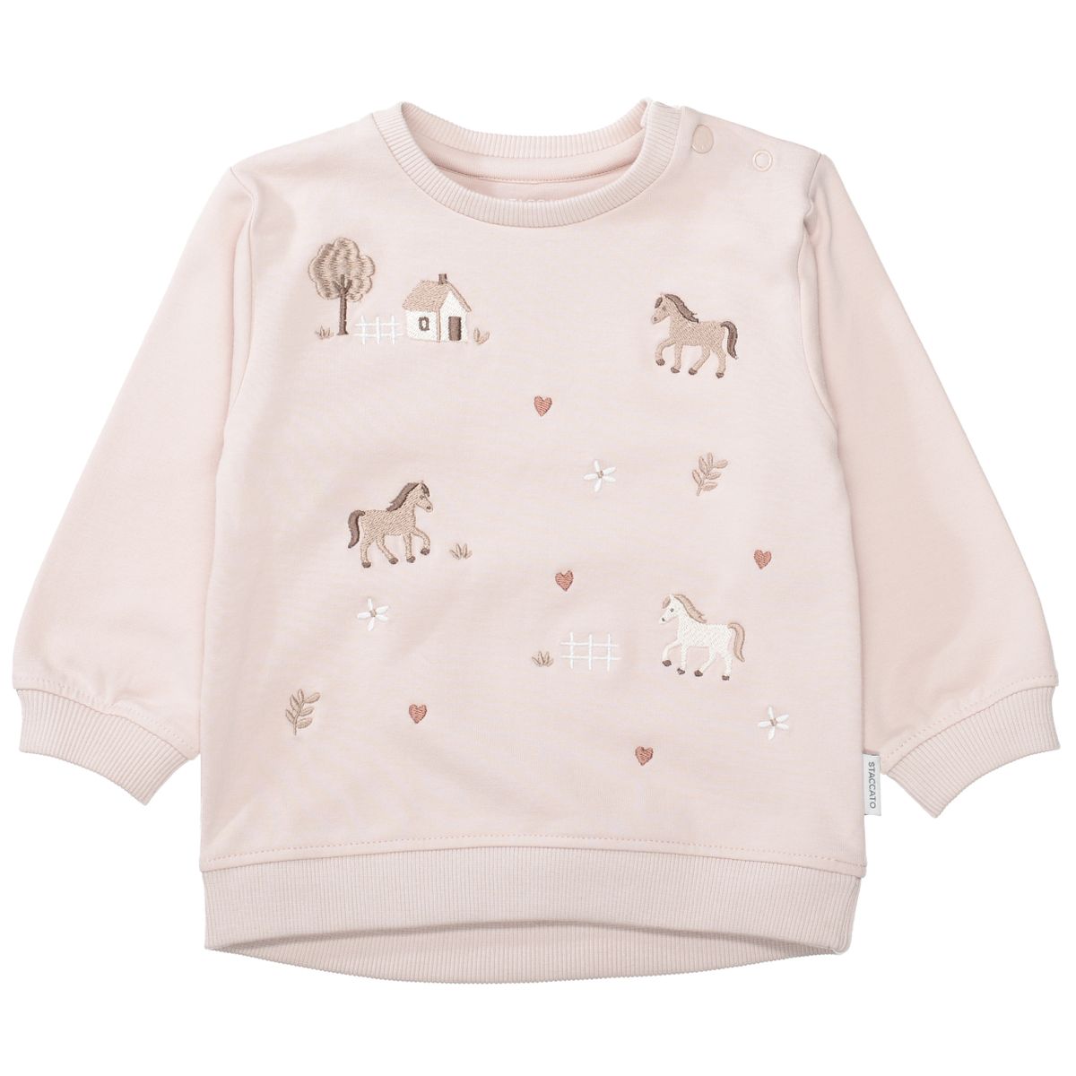Md.-Sweatshirt