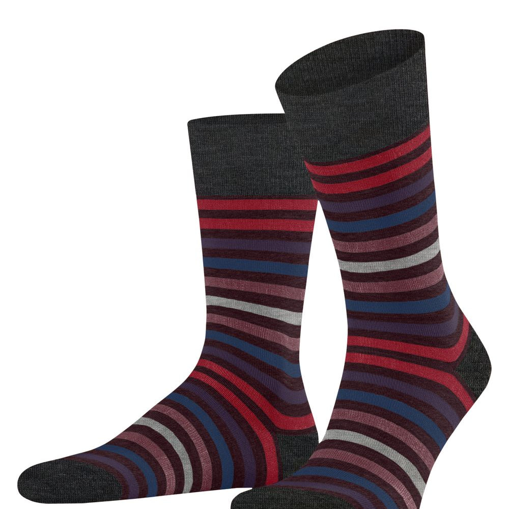 FALKE Tinted Stripe Herren