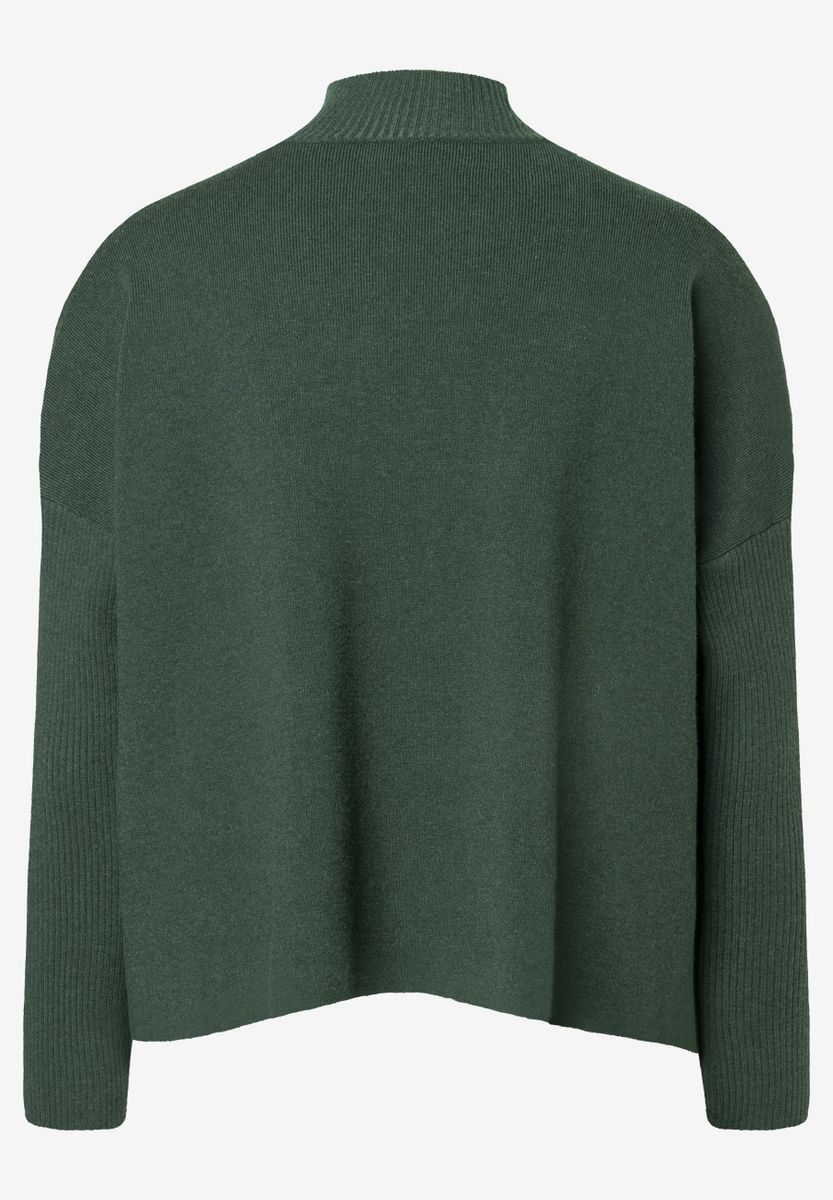 Pullover mit Turtleneck