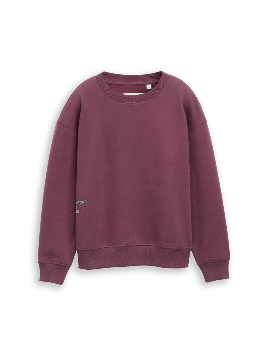 Oversize Sweatshirt mit Rückenprint