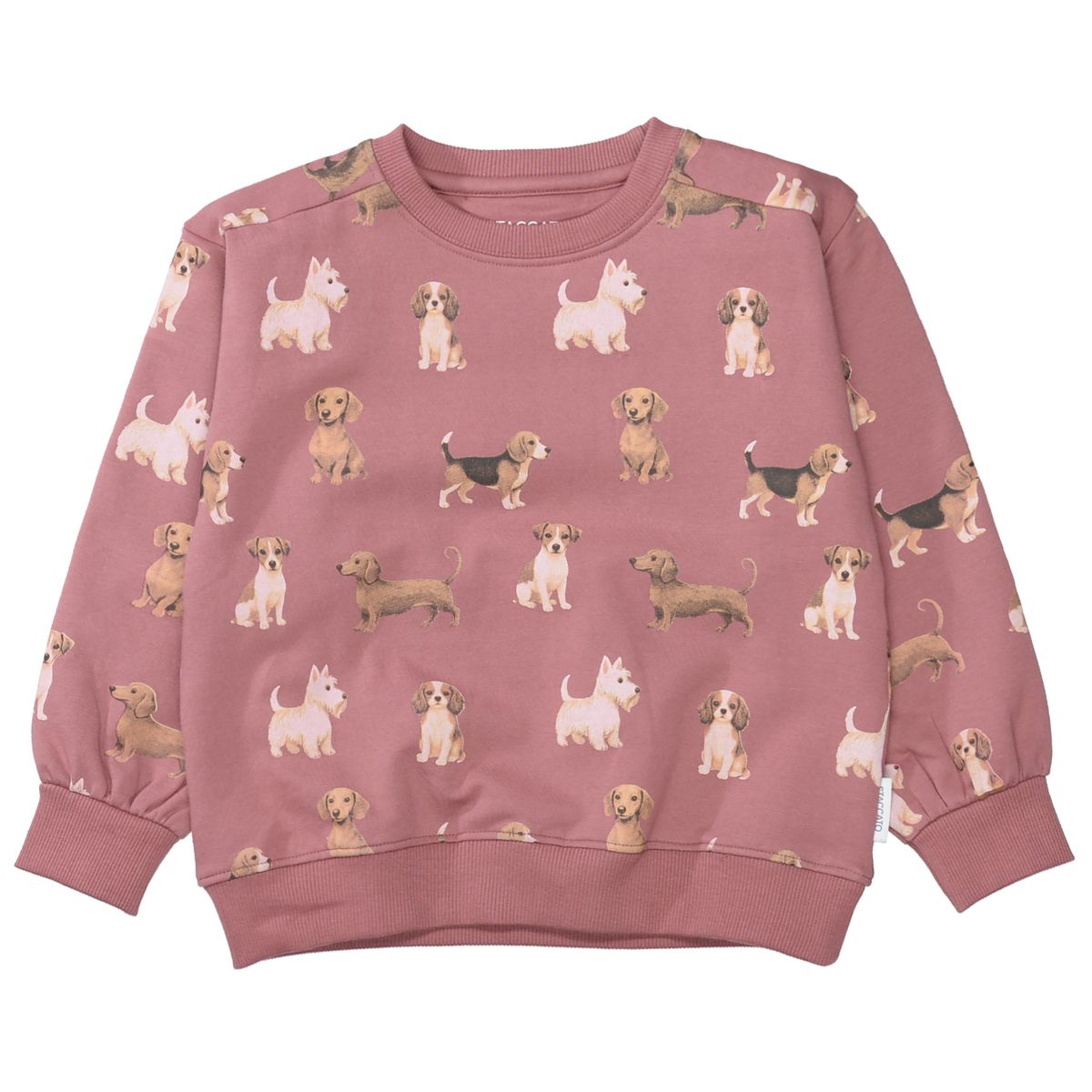 Md.-Sweatshirt