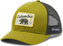 Columbia Mesh Snap Back