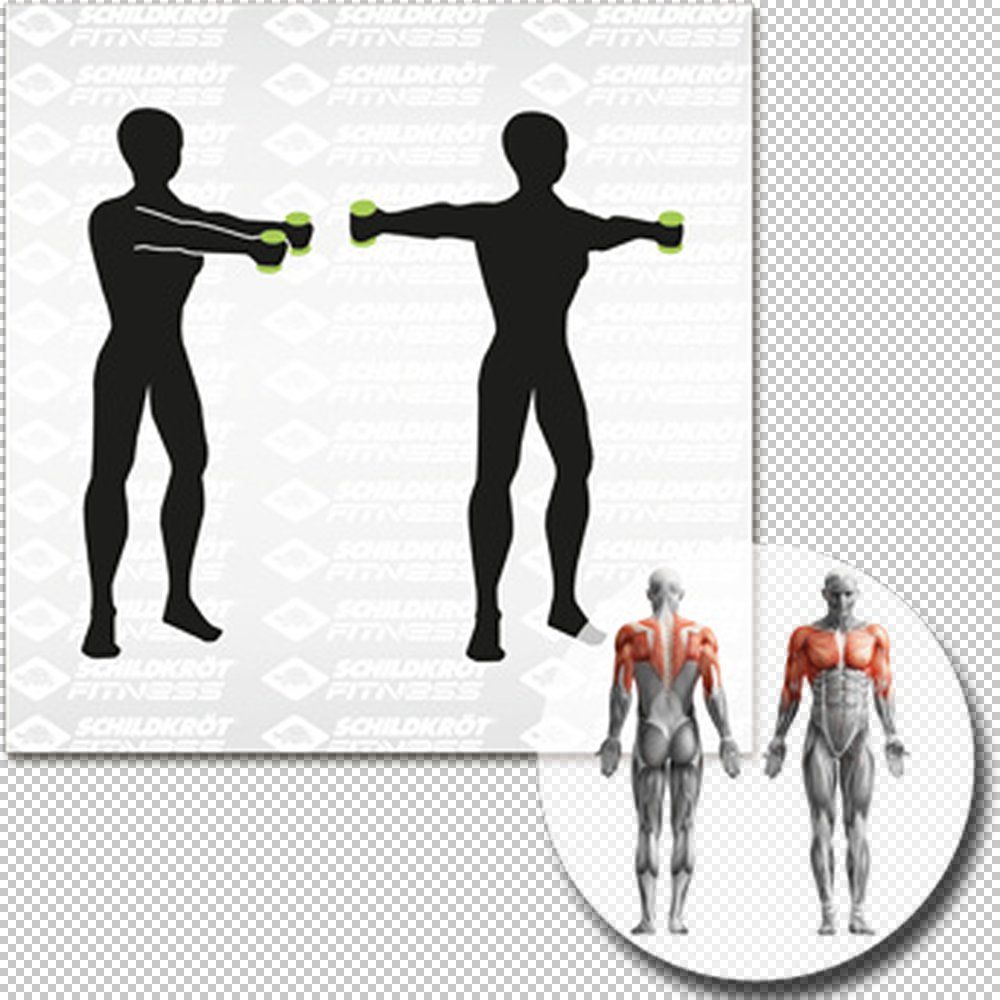SCHILDKRÖT FITNESS Schildkröt VINYL HANTEL Set, 2x 2,0kg (grey), in 4C-Box, M-2022