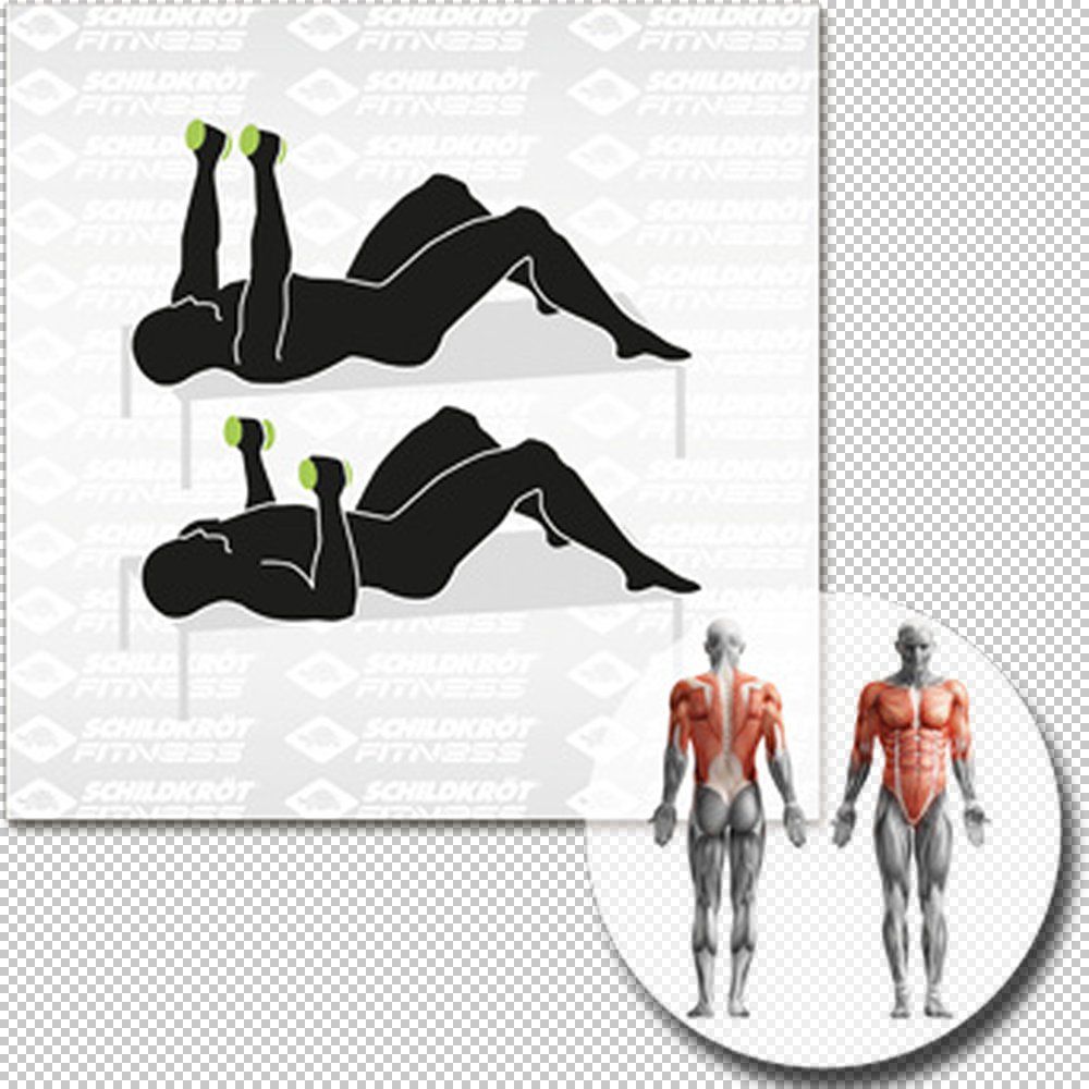 SCHILDKRÖT FITNESS Schildkröt VINYL HANTEL Set, 2x 2,0kg (grey), in 4C-Box, M-2022