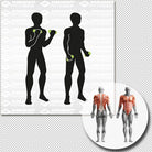 SCHILDKRÖT FITNESS Schildkröt VINYL HANTEL Set, 2x 2,0kg (grey), in 4C-Box, M-2022
