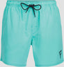 Bru-conic Men Swim Shorts