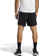 ADIDAS Herren Shorts Train Essentials Piqué 3-Streifen