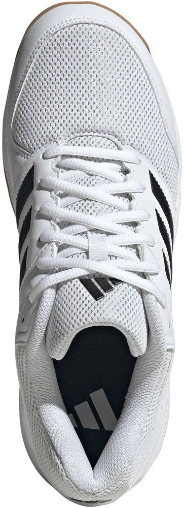 ADIDAS Herren Volleyballschuhe Speedcourt M