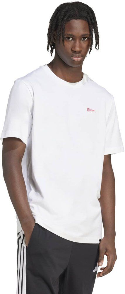 ADIDAS Herren Shirt Graphic mit Wimpelmotiv
