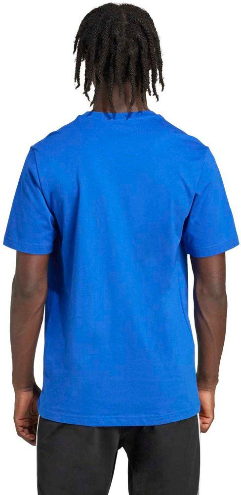 ADIDAS Herren Shirt Graphic mit Wimpelmotiv