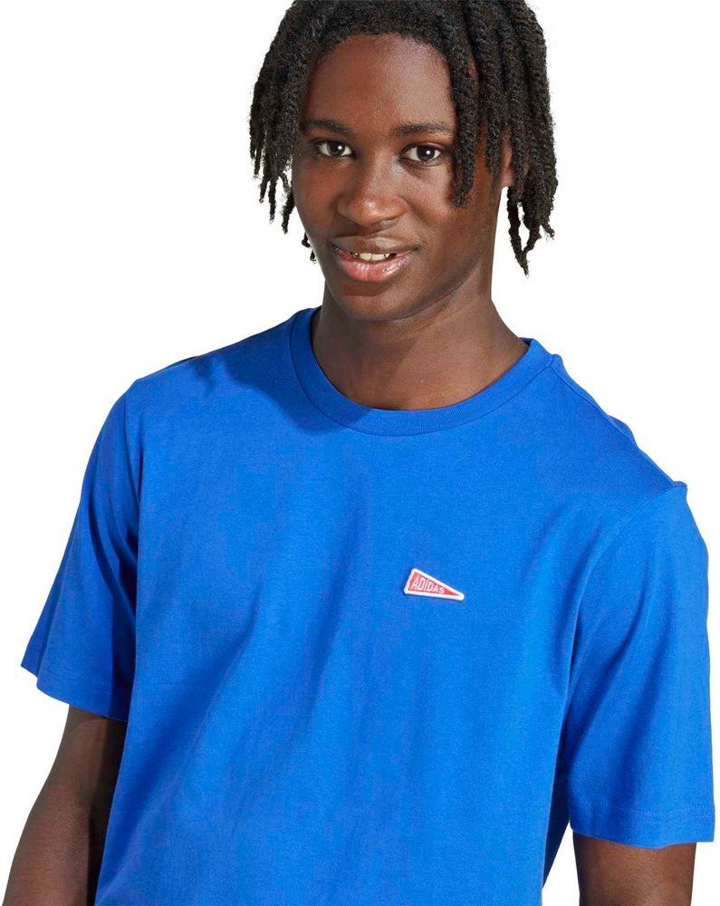 ADIDAS Herren Shirt Graphic mit Wimpelmotiv