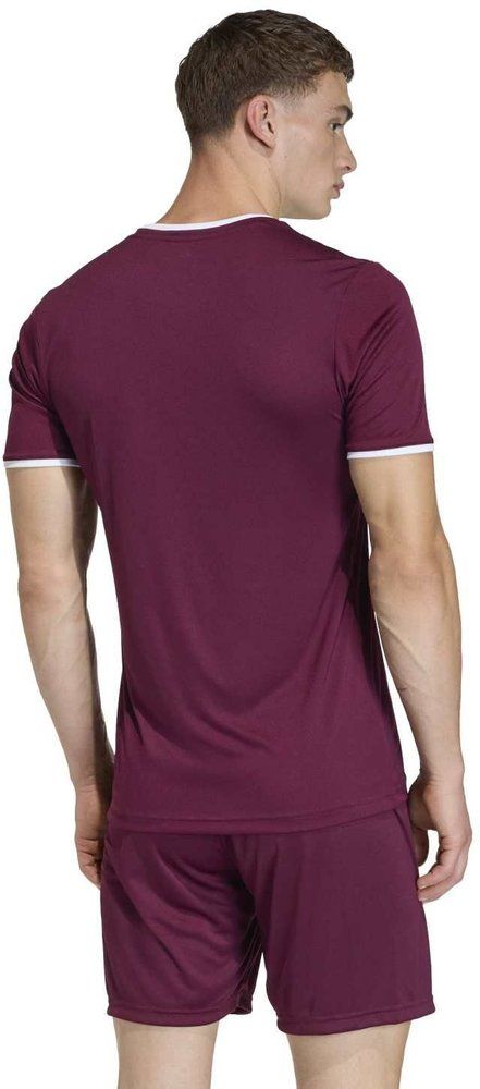 ADIDAS Herren Trikot Entrada26 Trikot (normal & lang)