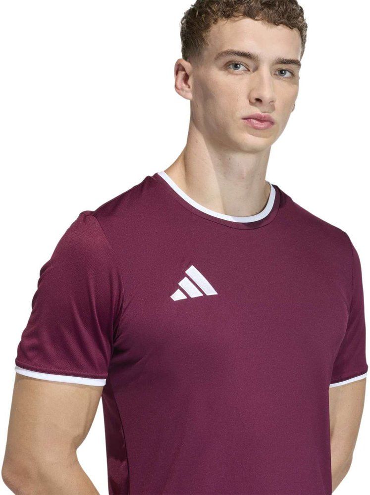 ADIDAS Herren Trikot Entrada26 Trikot (normal & lang)