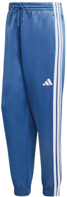ADIDAS Herren Hose Stadium