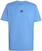 ADIDAS Herren Shirt CLIMACOOL TRAINING IDENTITY GRAPHIC