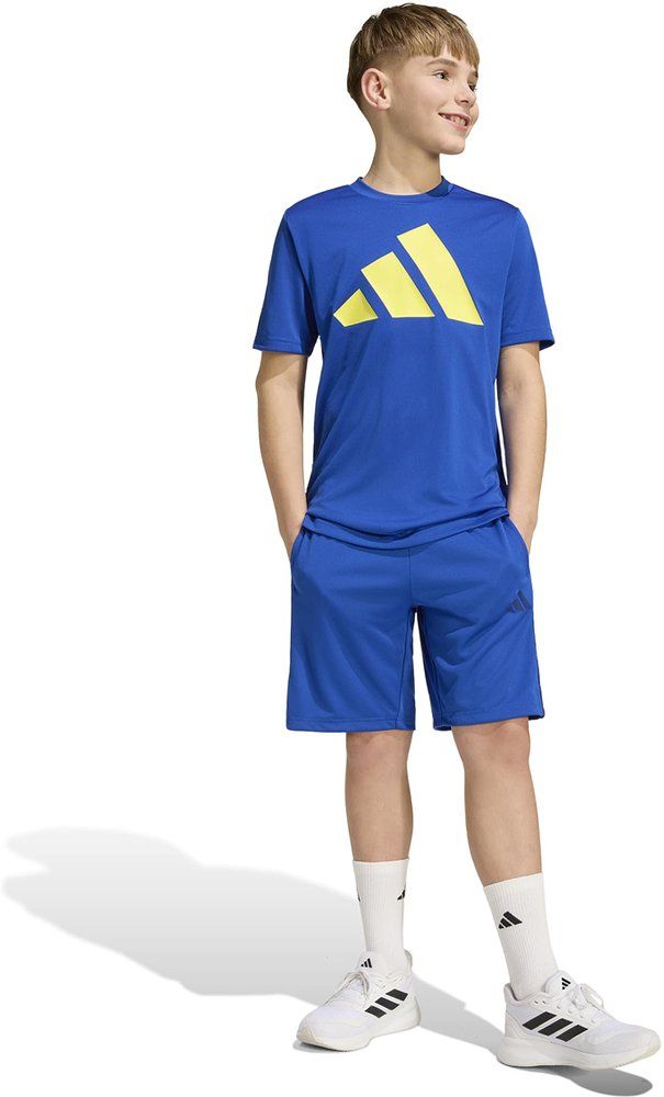 ADIDAS Kinder Shorts Train Essentials 3-Streifen