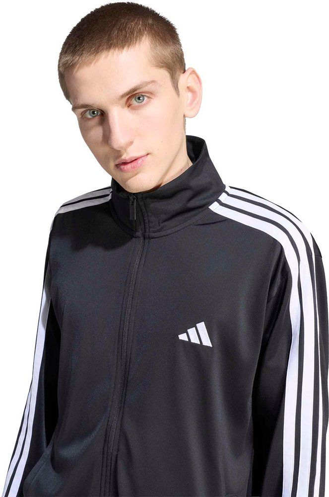 ADIDAS Herren Sportanzug DAYREADY