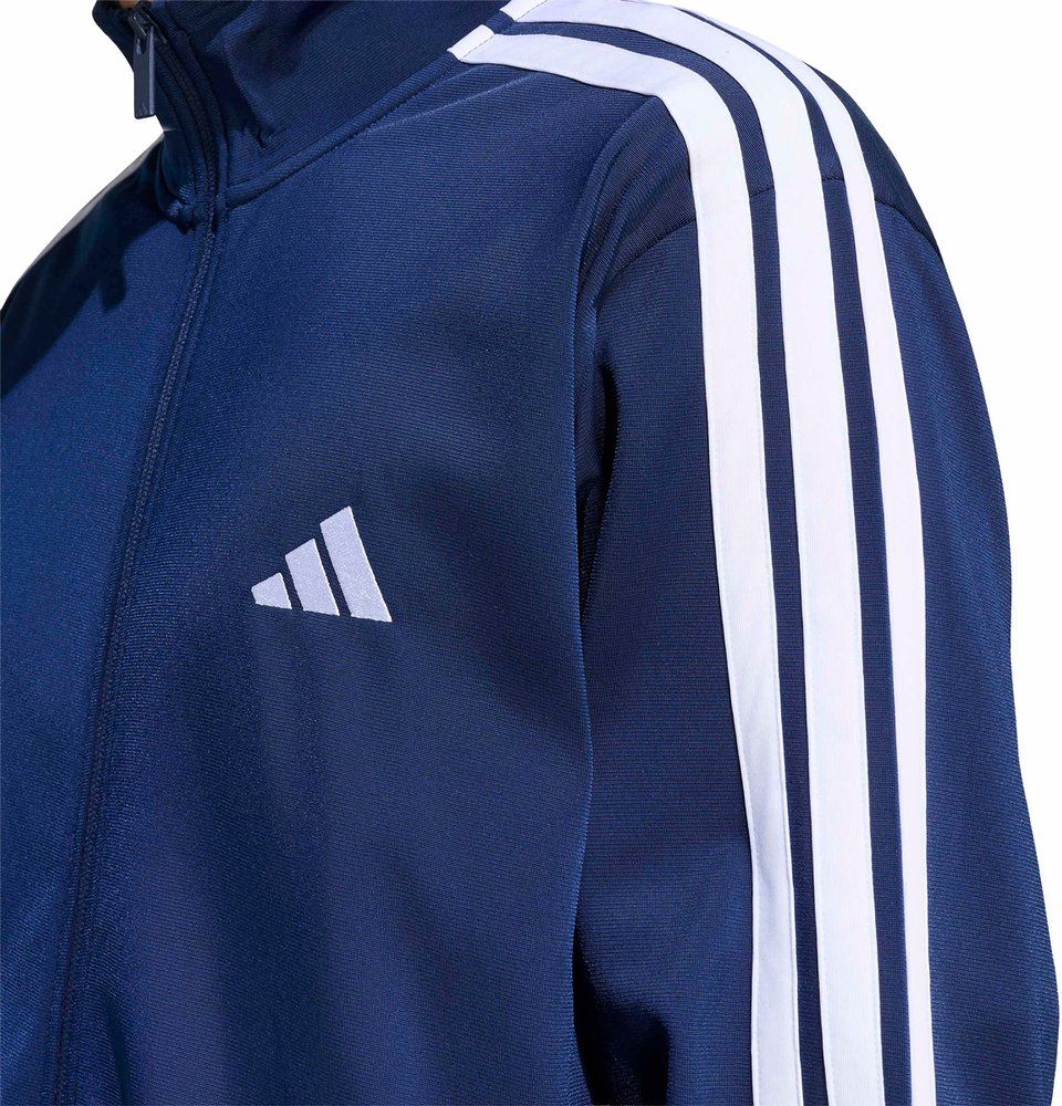 ADIDAS Herren Sportanzug DAYREADY (normal & lang)