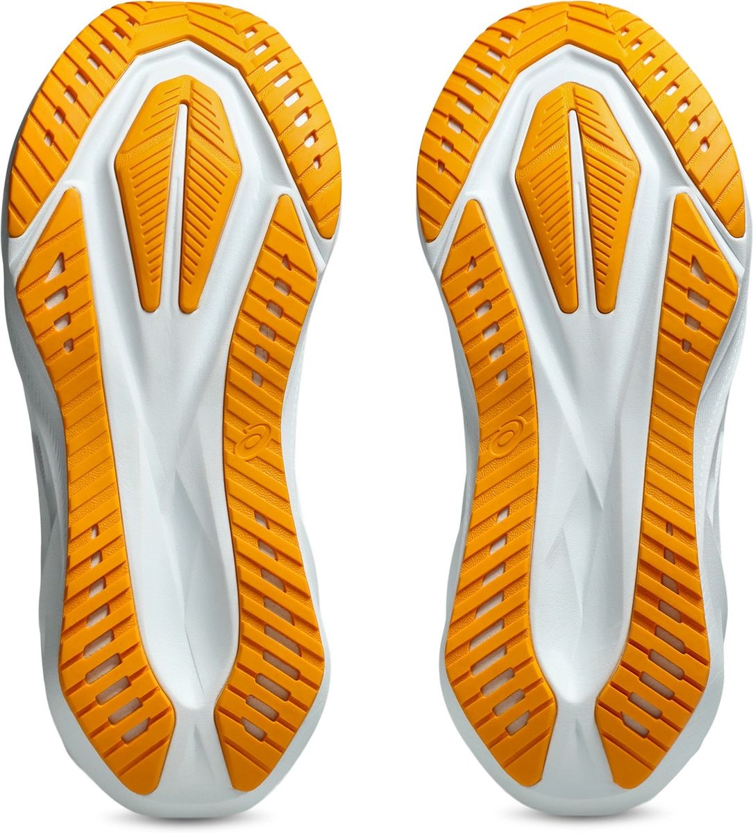 ASICS Herren Laufschuhe NOVABLAST 5