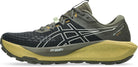 ASICS Herren Trailrunningschuhe GEL-Trabuco 13 GTX
