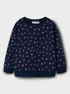 NMFDAVINA LS SWEAT FLEECE BRU NOOS
