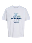 JJGRADIENT PRINT TEE SS CREW NECK LN
