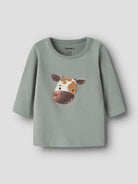 NBMLENARD LS TOP BOX