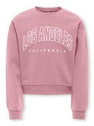 KOGSWEAT LS CREW OVZ STAT SWT NOOS