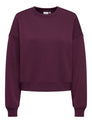 ONLBEST L/S CREW NECK SWT NOOS