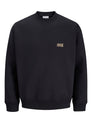 JJECOLTON SWEAT CREW NECK SN JNR