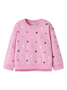 NMFNISALA LS NREG SWEAT BRU PB