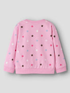 NMFNISALA LS NREG SWEAT BRU PB