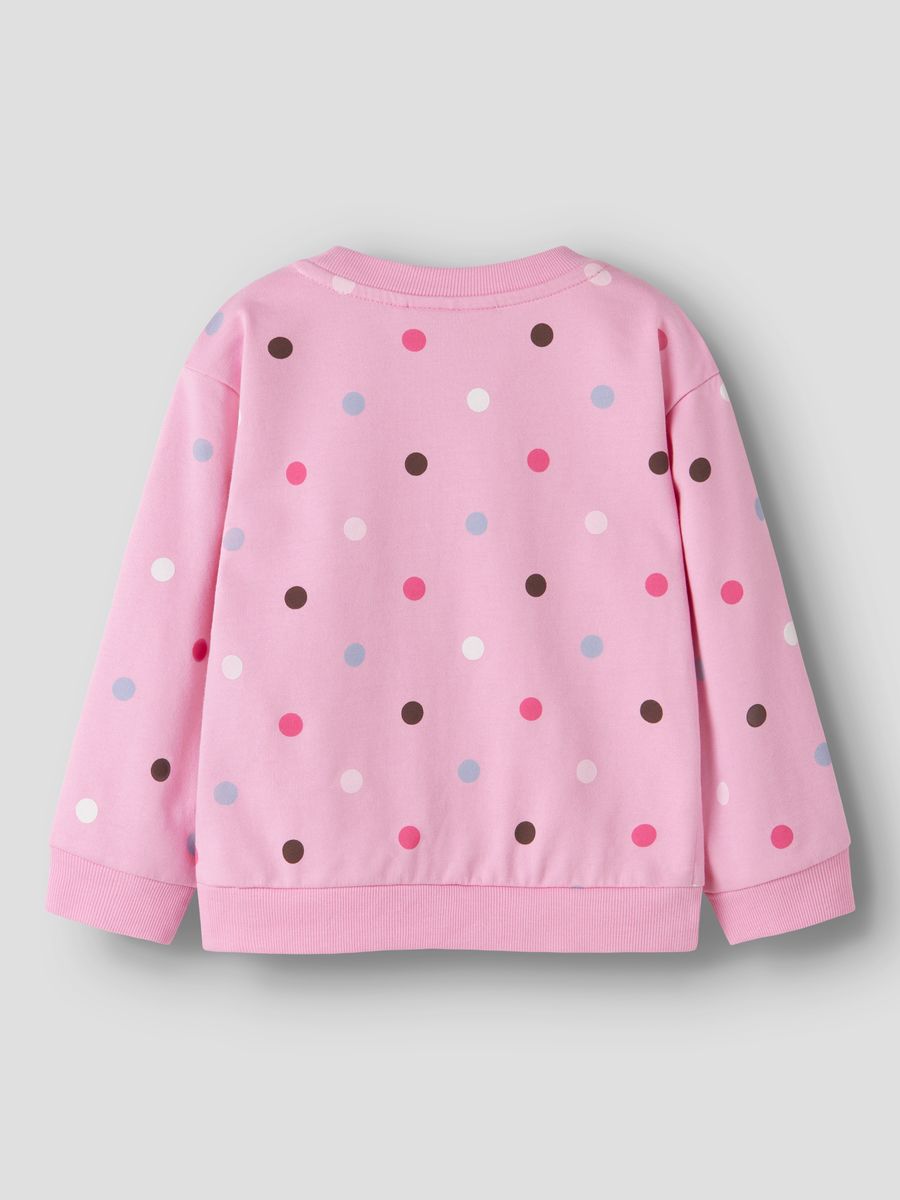 NMFNISALA LS NREG SWEAT BRU PB